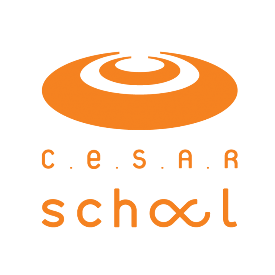CESAR SCHOOL